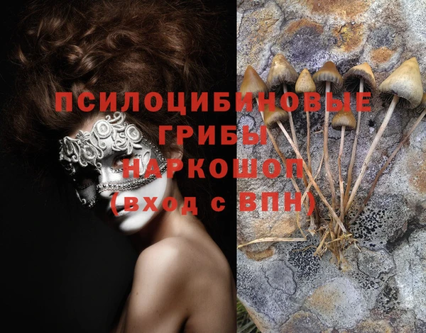 mix Карпинск
