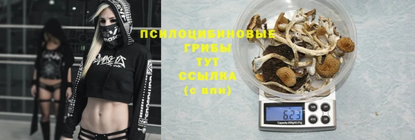 шишки Карталы