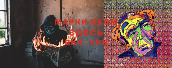 молекула духа Касимов
