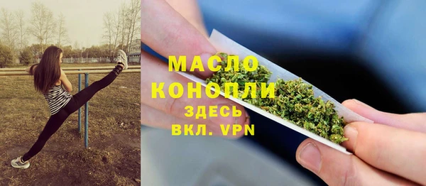 молекула духа Касимов